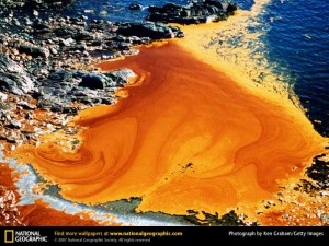 Oil Spill water view